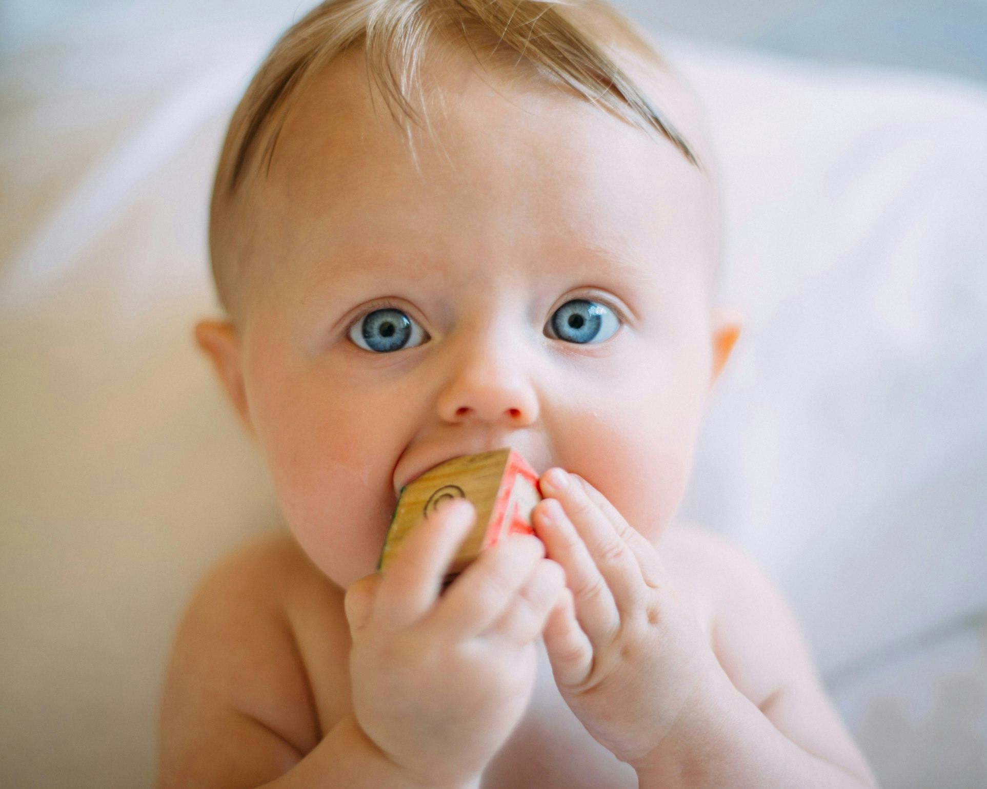 Un bébé aux yeux bleus vifs mordille un petit bloc de bois coloré. Ses cheveux blonds sont très courts et il semble curieux ou concentré.