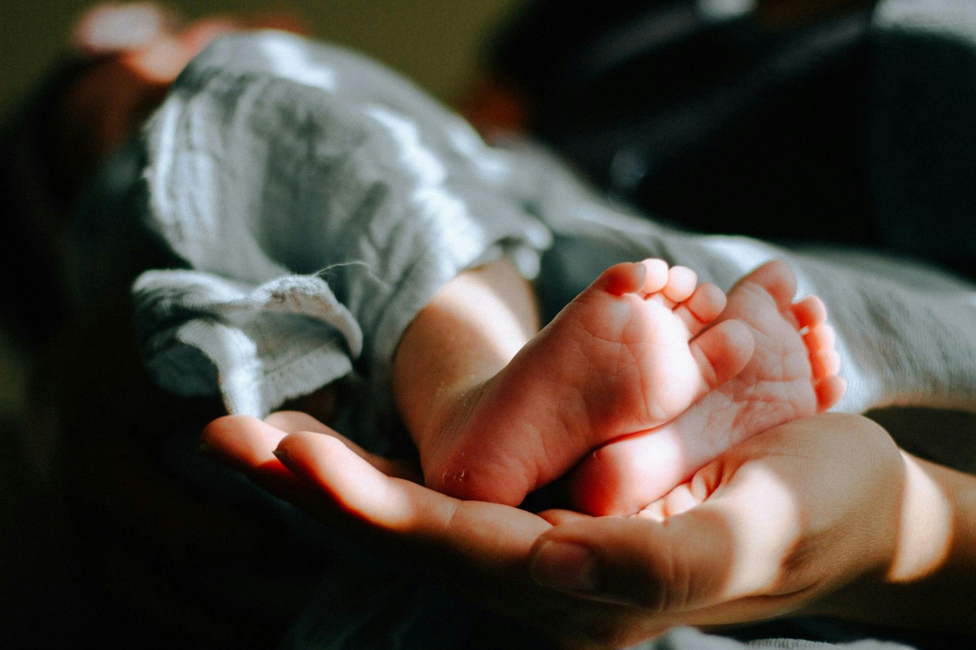De petites jambes de bébé vêtues d'un pantalon doux et froissé reposent dans les mains bienveillantes d'un adulte. Les petons potelés sont mis en évidence par la lumière chaude qui filtre, donnant à la peau une douce teinte rosée.